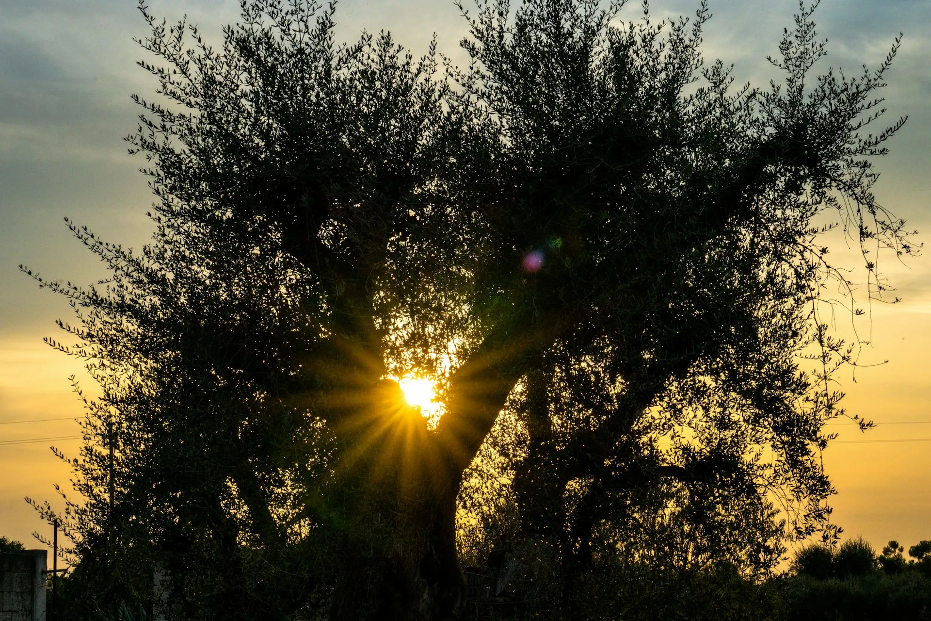 Il Salento fuori stagione: perché venire a maggio, giugno o settembre